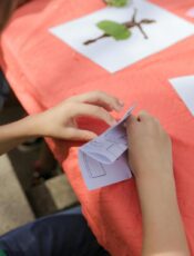 Créer une ambiance Cocooning dans une chambre d’enfant